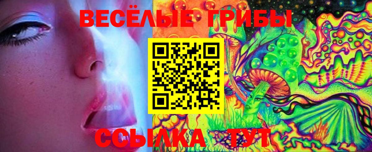 Галлюциногенные грибы Magic Shrooms Вятские Поляны